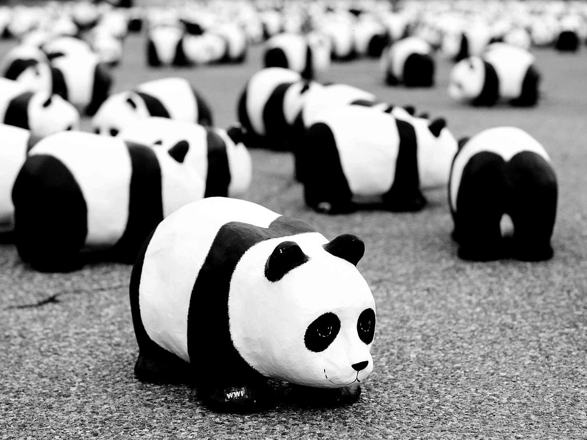 Panda-Figuren © Florian Hänggeli / WWF-Switzerland
