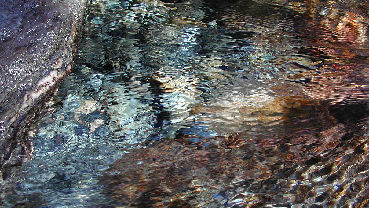 Reflektionen auf einem Fluss in Neuseeland © Karin Jacobi / WWF