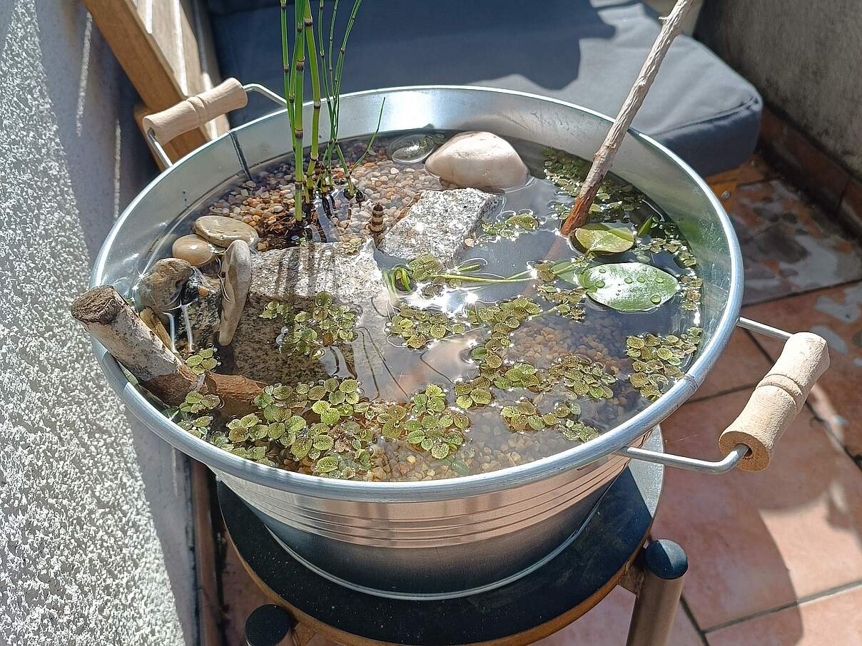 Ein Miniteich auf dem Balkon