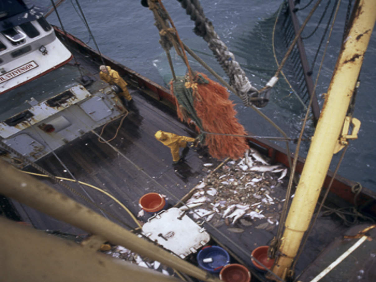 Fischerei im Nordatlantik ©Mike.R.Jackson / WWF 