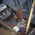 Fischerei im Nordatlantik ©Mike R Jackson / WWF