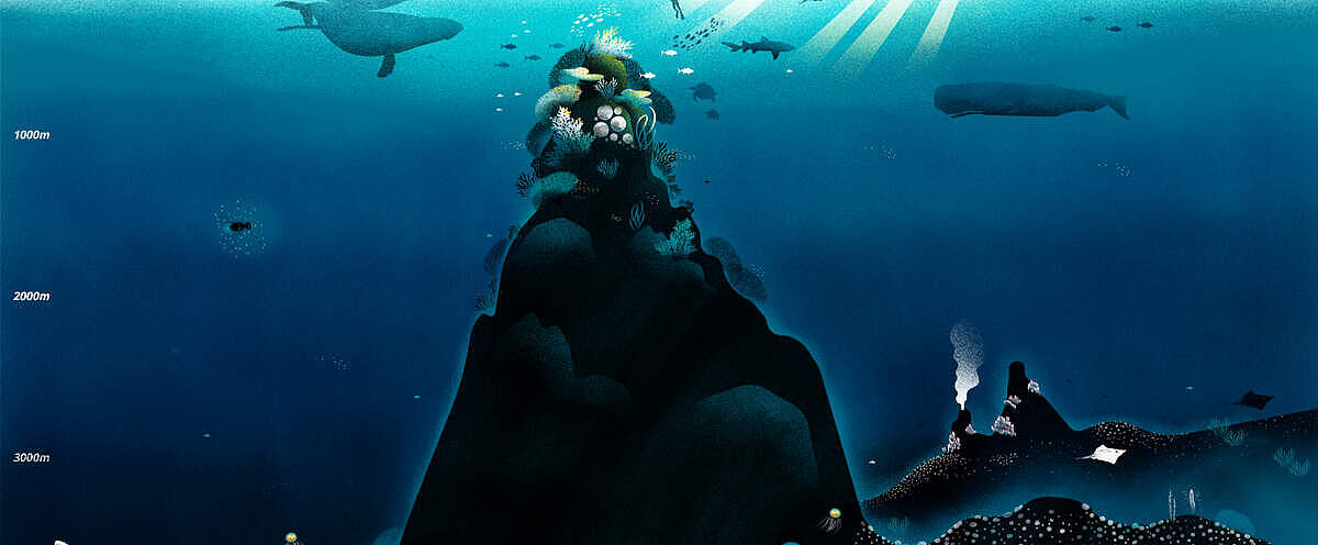 Grafische Darstellung einer gesunden Tiefsee © WWF INT