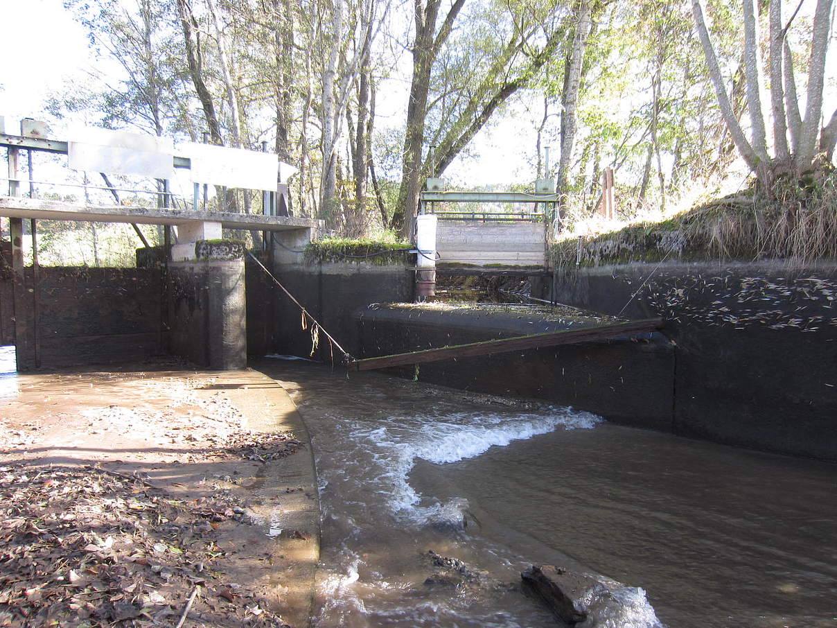 Wehr am Hühnerbach © WBV Bidingen