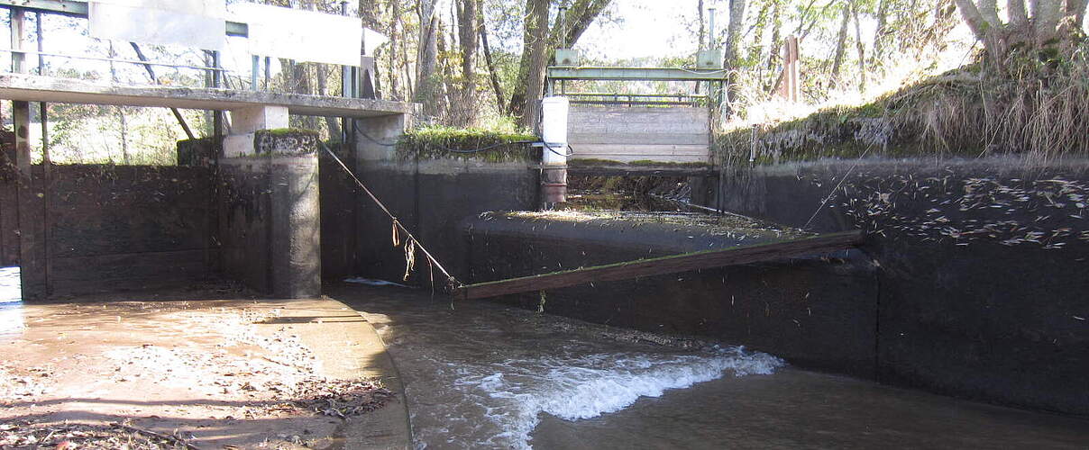 Wehr am Hühnerbach © WBV Bidingen