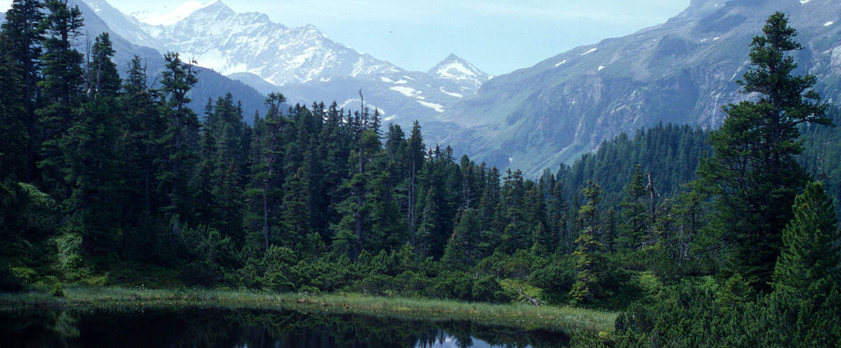 See und Berge im Nationalpark Hohe Tauern 