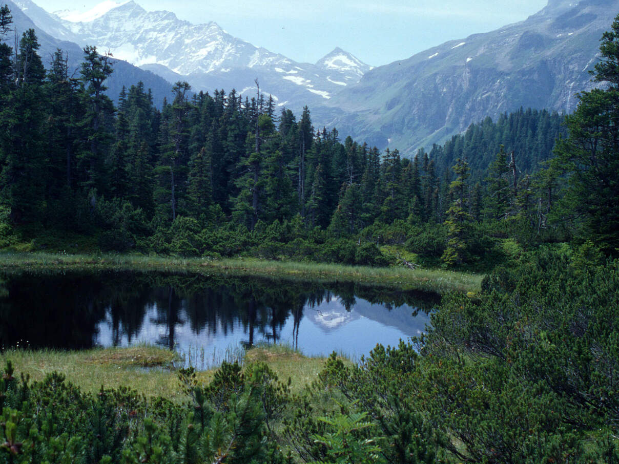 See und Berge im Nationalpark Hohe Tauern 