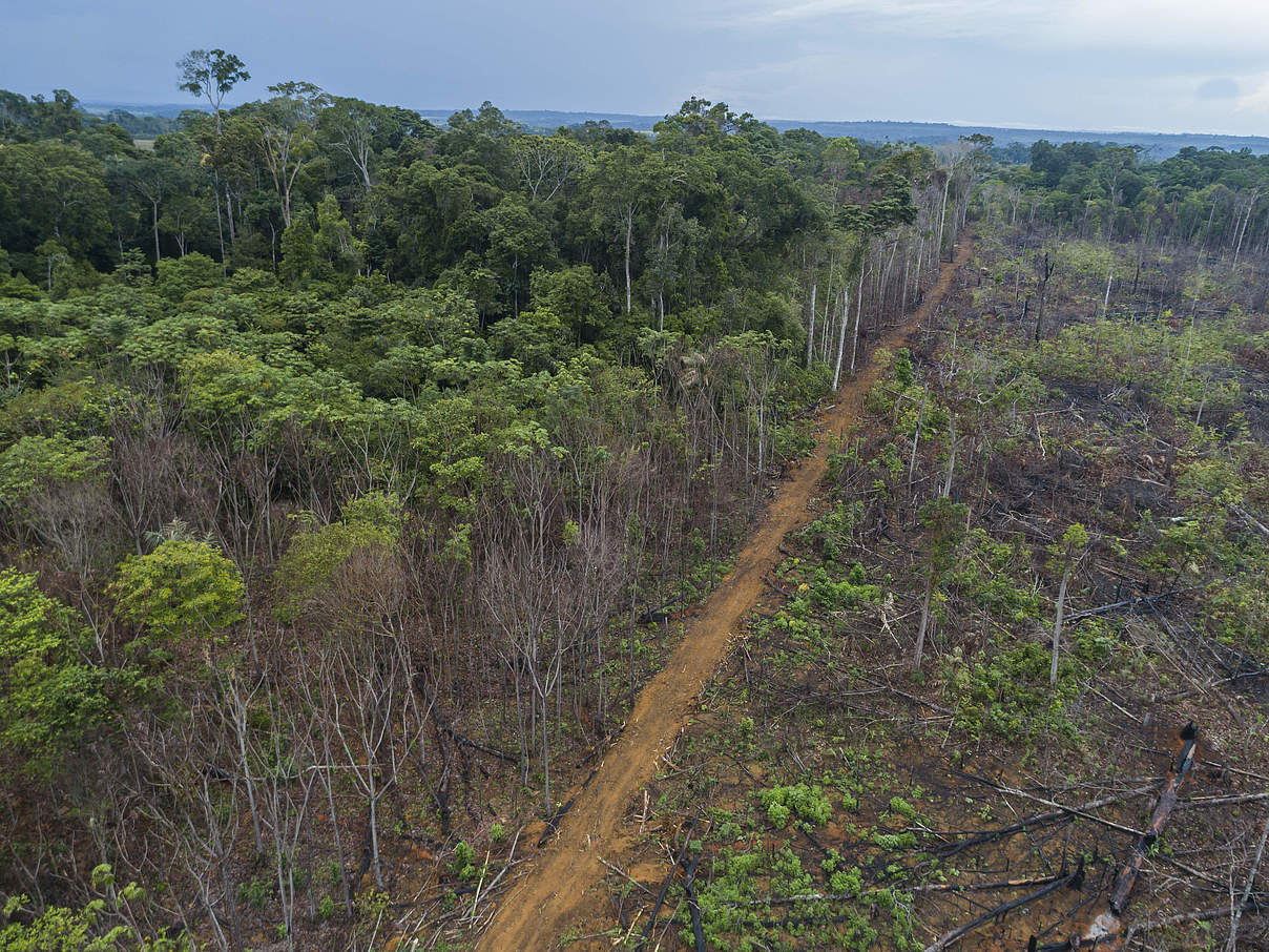 Die Indigenen kämpfen um die Erhaltung ihres Landes © Andre Dib / WWF-Brazil Die Indigenen kämpfen um die Erhaltung ihres Landes © Andre Dib / WWF-Brazil