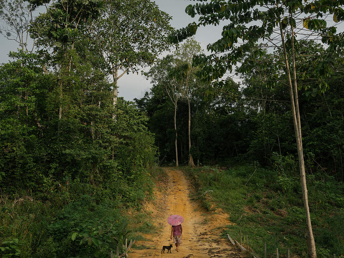 Kalimantan © Matthieu Paley