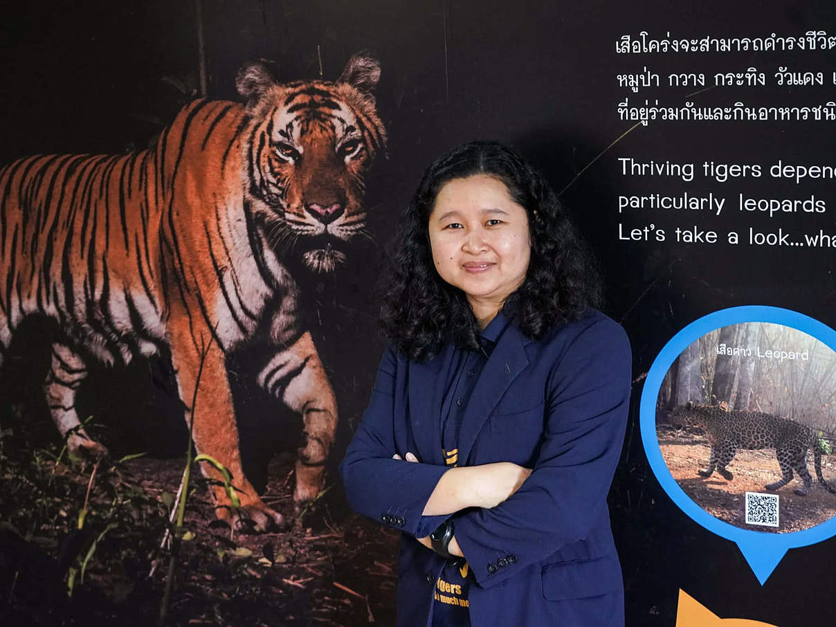 Tiger-Wissenschaftlerin Dr. Rungnapa Phoonjampa © Courtesy of Dr. Rungnapa Phoonjampa