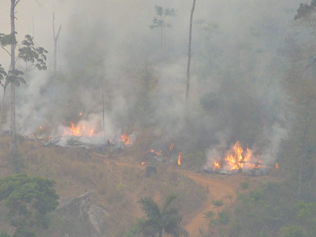 Brand im Juruena-Schutzgebiet © Roberto Maldonado / WWF