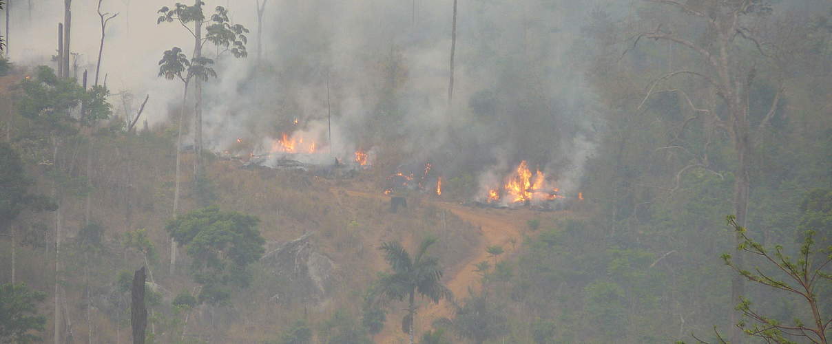 Brand im Juruena-Schutzgebiet © Roberto Maldonado / WWF