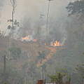 Brand im Juruena-Schutzgebiet © Roberto Maldonado / WWF