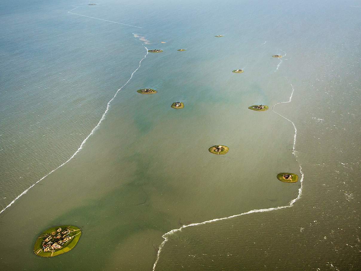 Land unter bei Sturmflut auf Hallig Langeneß im Wattenmeer © Martin Stock