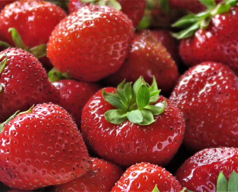 Erdbeeren © Kari Schnellmann 