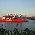 Containerschiff im Hamburger Hafen © Britta König / WWF