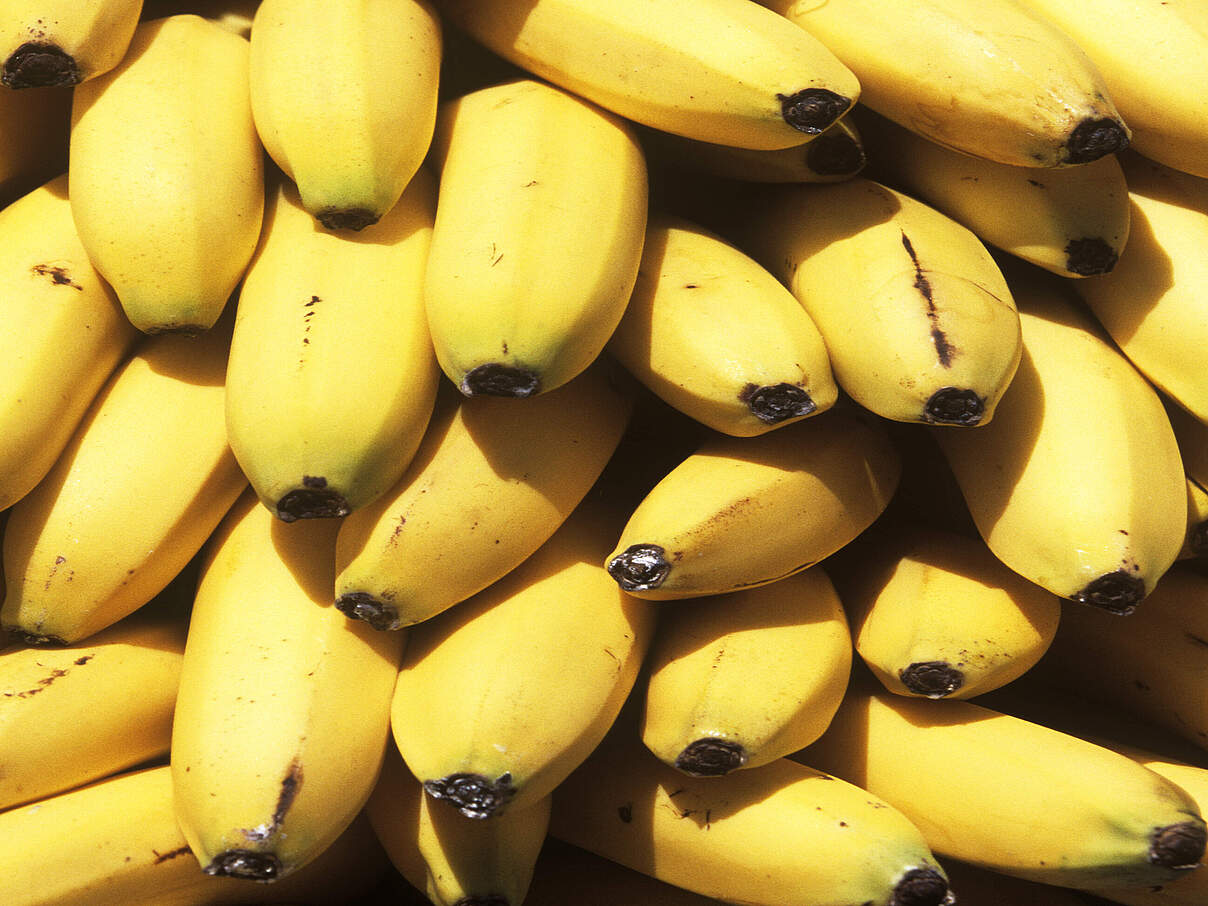 Eine Nahaufnahme von Bananen die übereinander gestapelt liegen.
