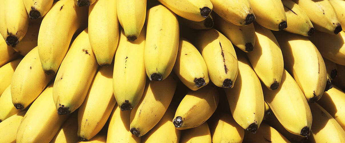 Eine Nahaufnahme von Bananen die übereinander gestapelt liegen.