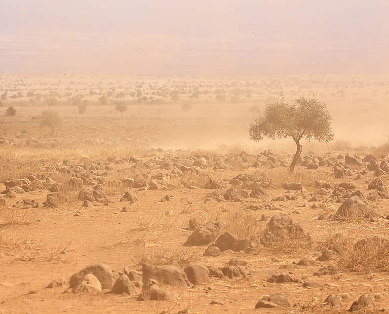 Die Dürre in Kenia bedroht Tiere und Menschen © imago panthermedia