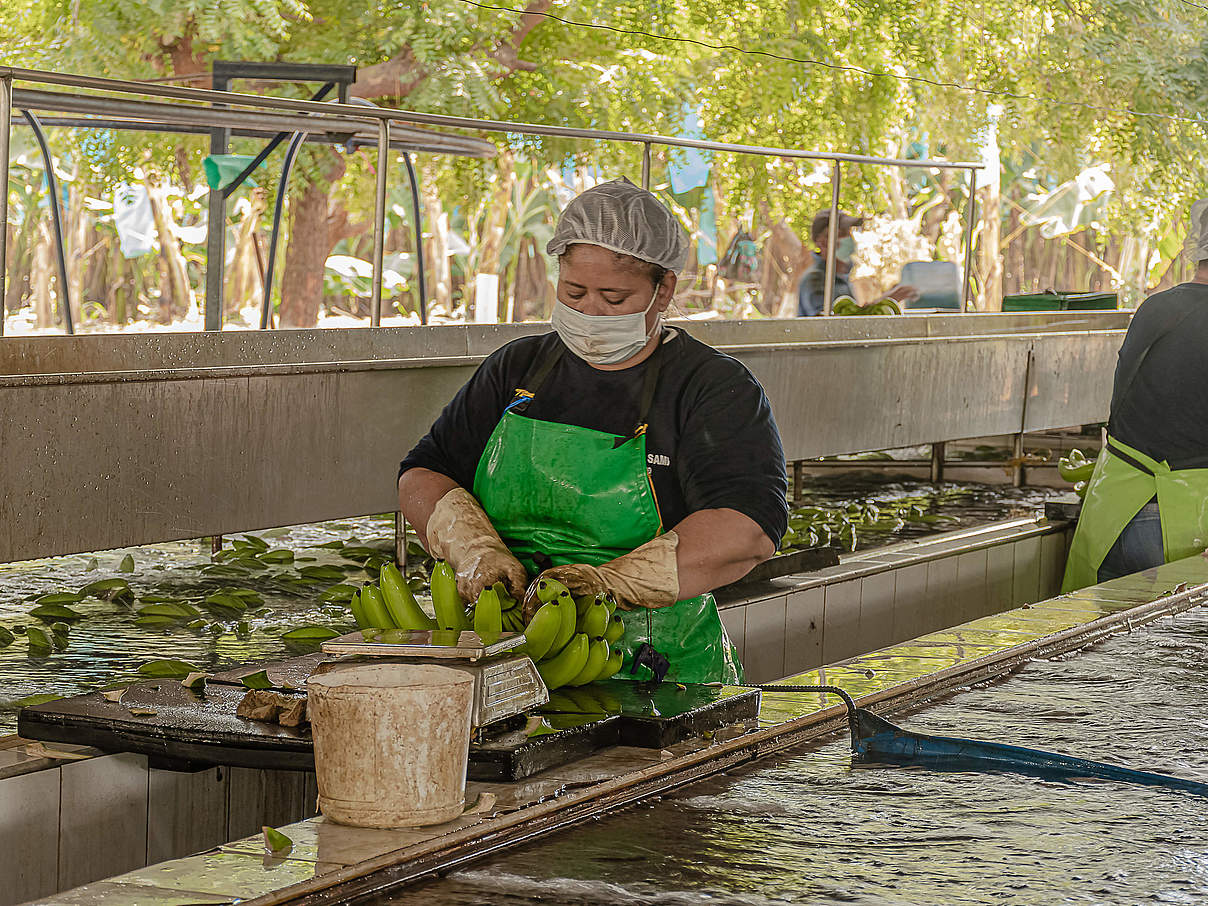 Verpackungsbereich einer Farm © Mauricio Marín