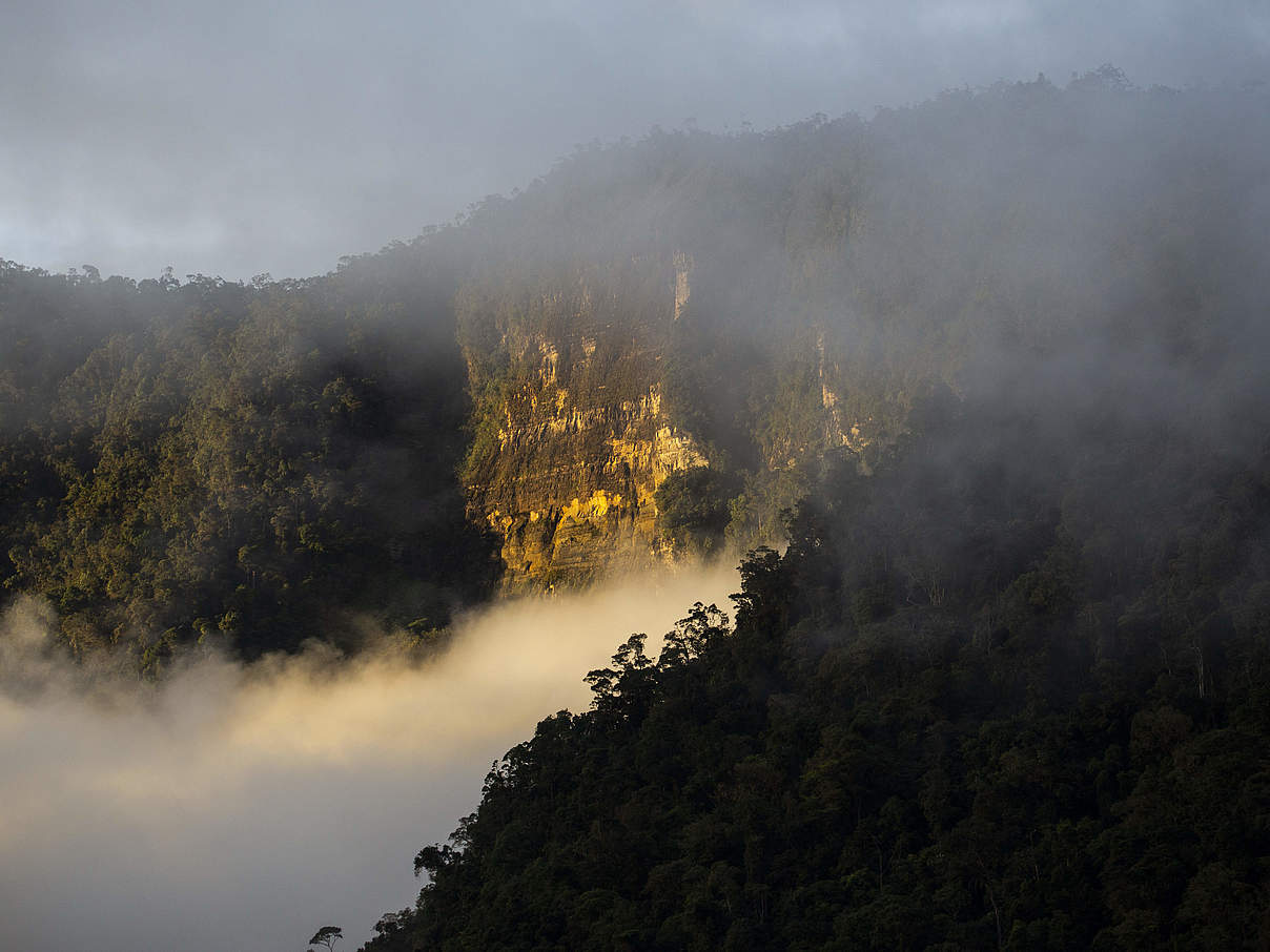 Nationalpark Cordillera de los Picachos, Kolumbien © Pablo Mejía /WWF Colombia