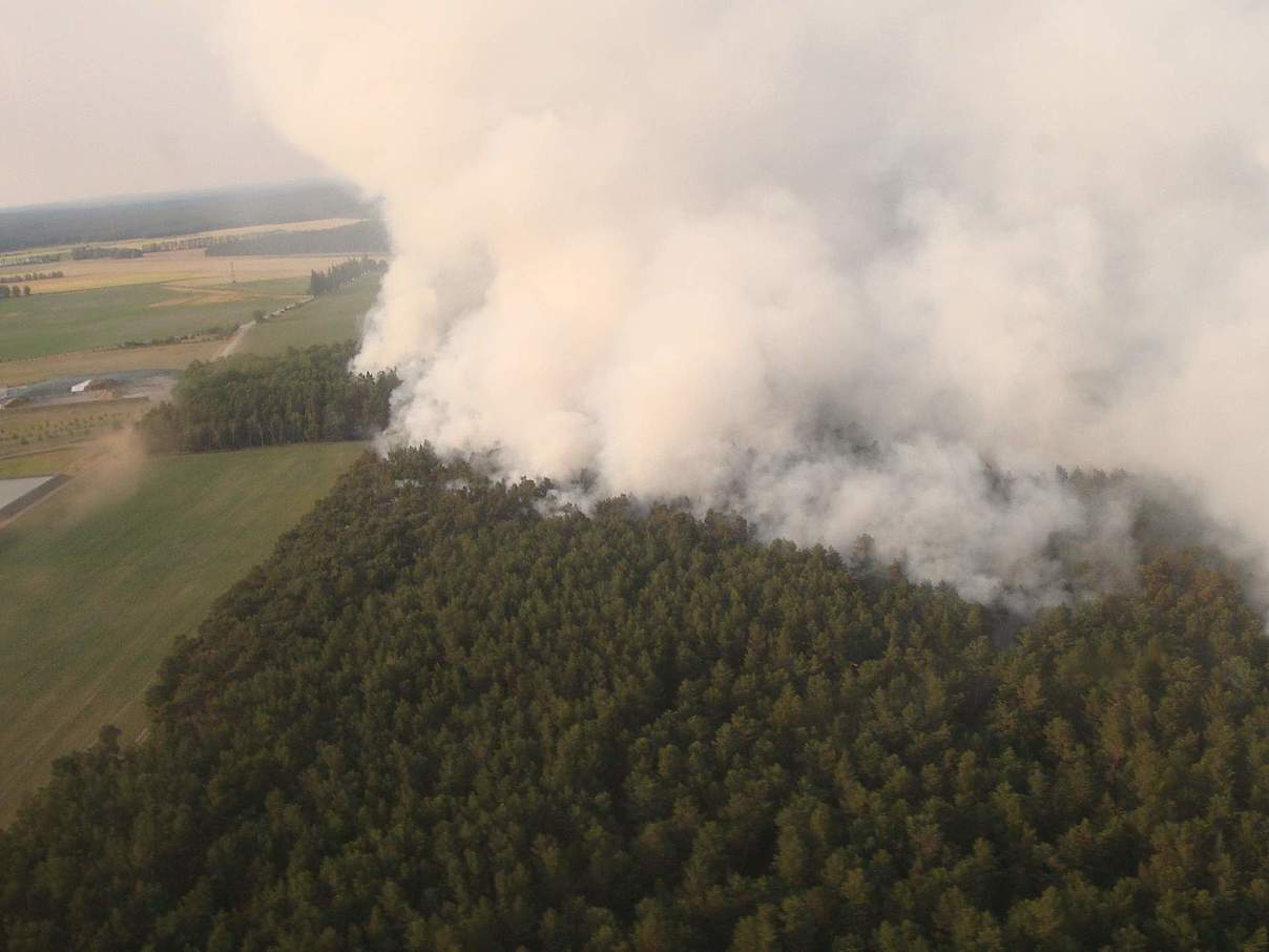 Rauchschwaden über Brandenburg © Stiftung Naturlandschaften Brandenburg