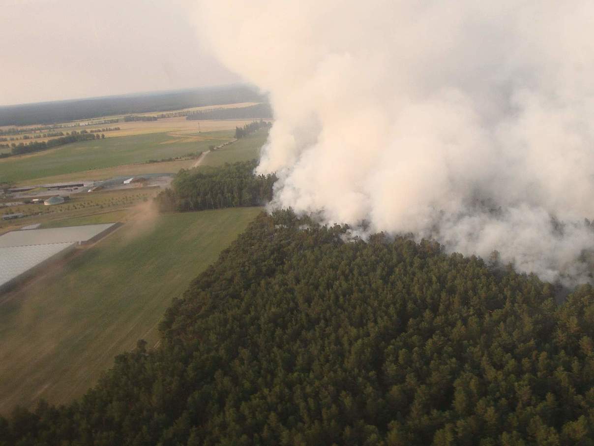 Rauchschwaden über Brandenburg © Stiftung Naturlandschaften Brandenburg