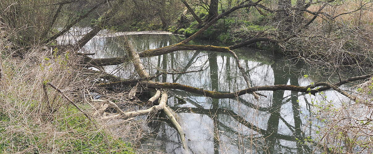 Die Isen bei Niederham