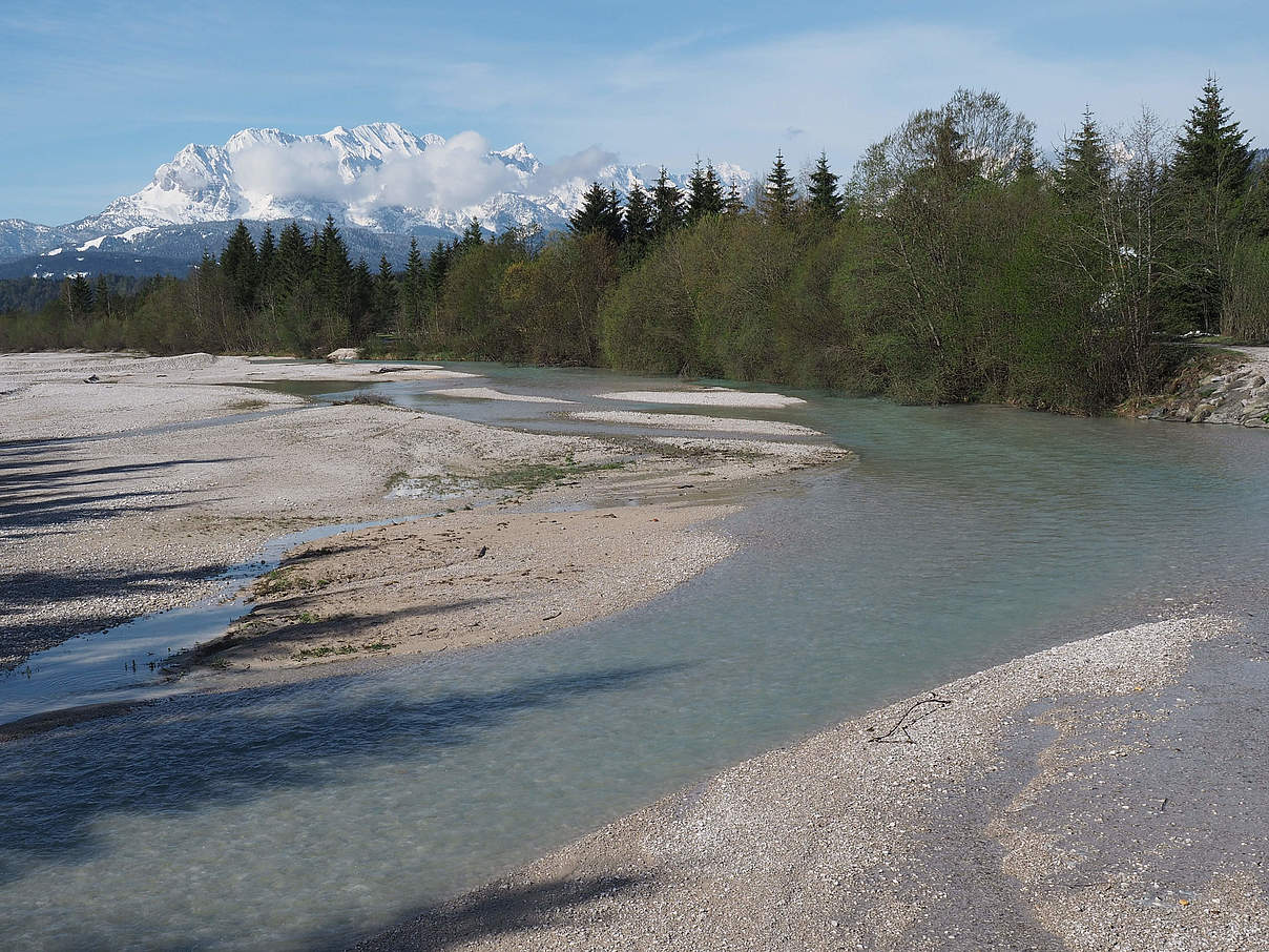 Obere Isar © Sigrun Lange / WWF