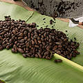 Begutachtung der Kakaosamen © Alejandro Janeta / WWF Ecuador