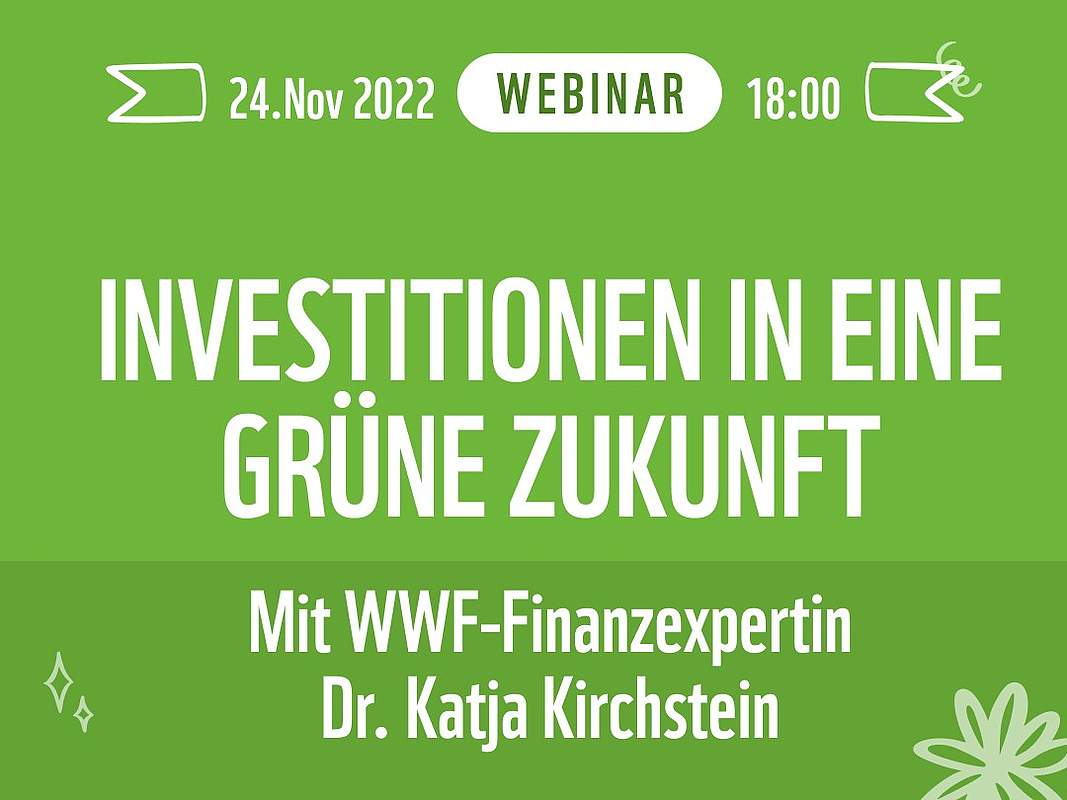 Webinar "Investitionen in eine grüne Zukunft" © WWF Webinar "Investitionen in eine grüne Zukunft" © WWF