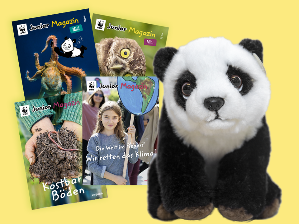 Begrüßungspaket für die WWF Junior-Fördermitgliedschaft © WWF Begrüßungspaket für die WWF Junior-Fördermitgliedschaft © WWF