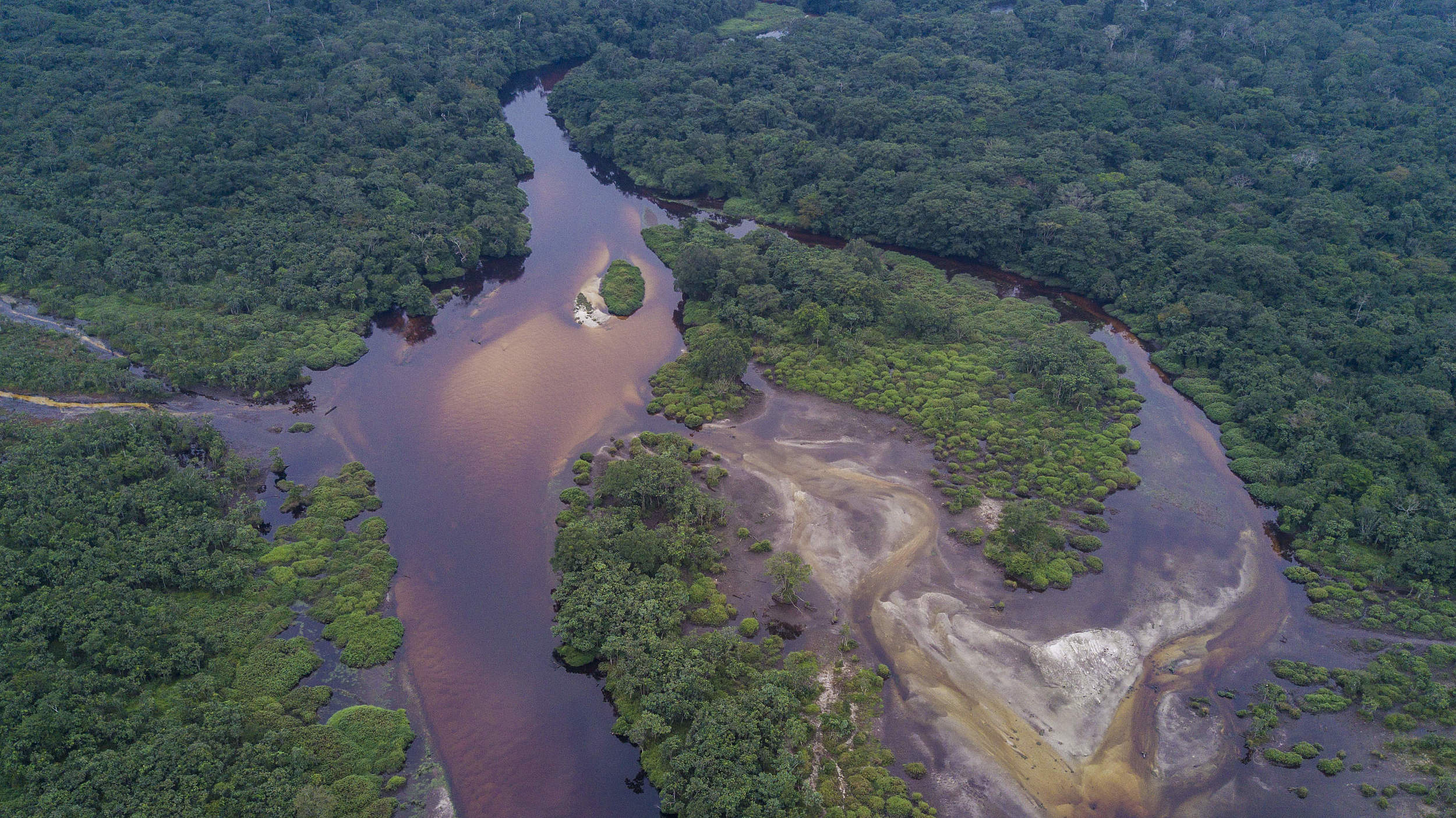 Der-Salonga Nationalpark in der Zentralafrikanischen Republik Kongo © Thomas Nicolon / WWF-DRC