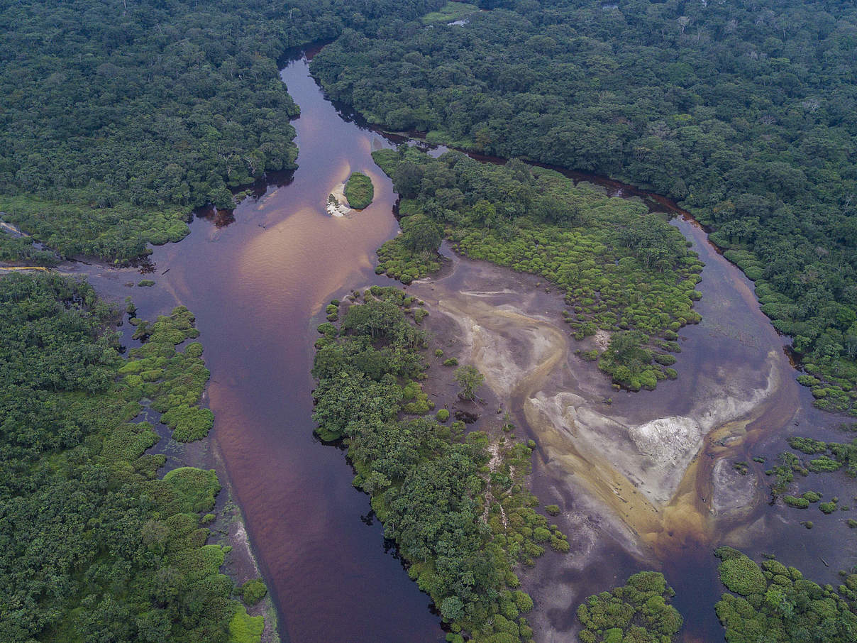 Der Salonga Nationalpark in der Zentralafrikanischen Republik Kongo © Thomas Nicolon / WWF-DRC