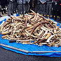 Beschlagnahmtes Elfenbein in Paris © WWF-France