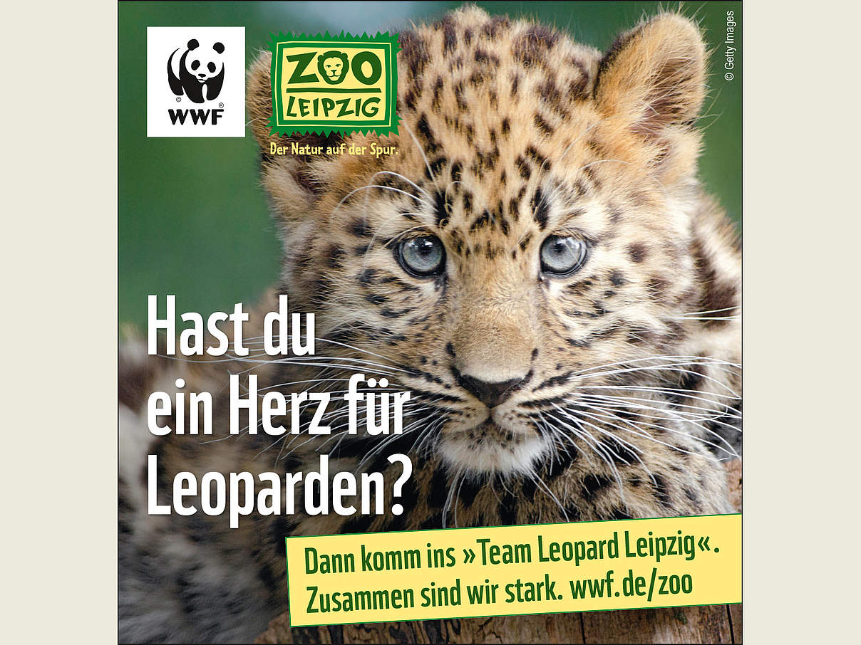 Freianzeige WWF Zoo Leipzig © WWF
