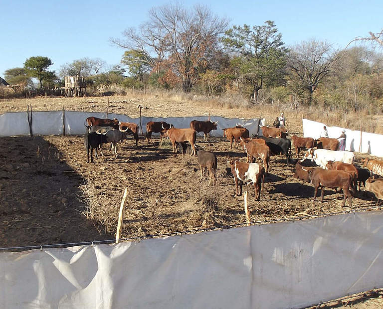 Mobiles Boma in Simbabwe © VFWT