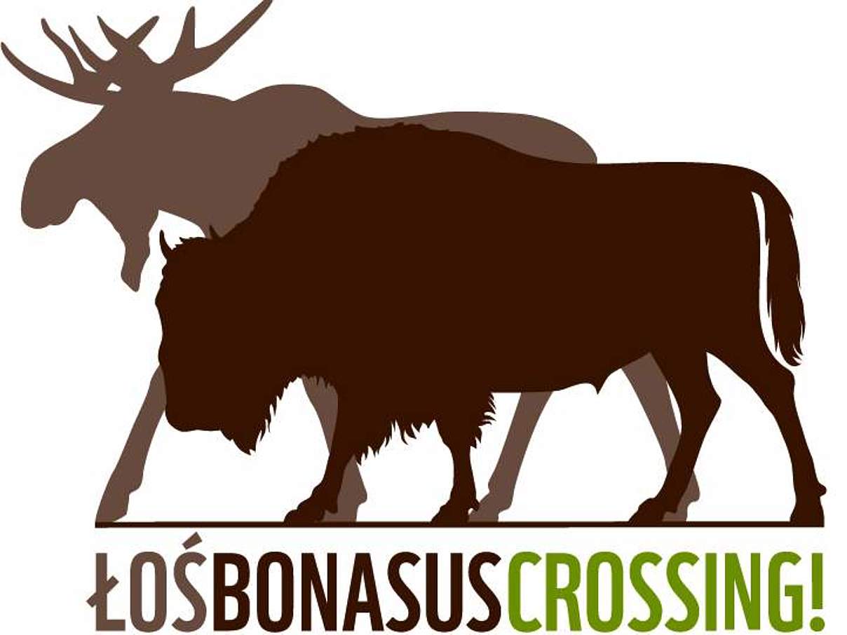 LosBonasus – Crossing!
