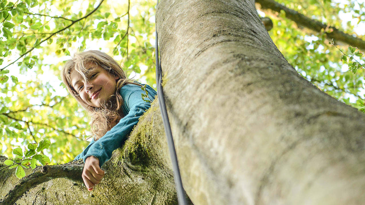 Ein Mädchen oben im Baum beim WWF-Jugendcamp © Peter Jelinek