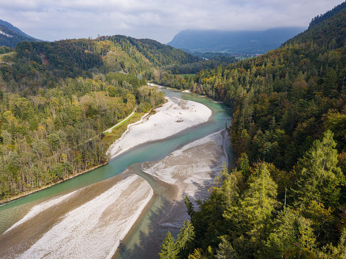 Der Fluss Tiroler Achen © Andreas Volz / WWF Der Fluss Tiroler Achen