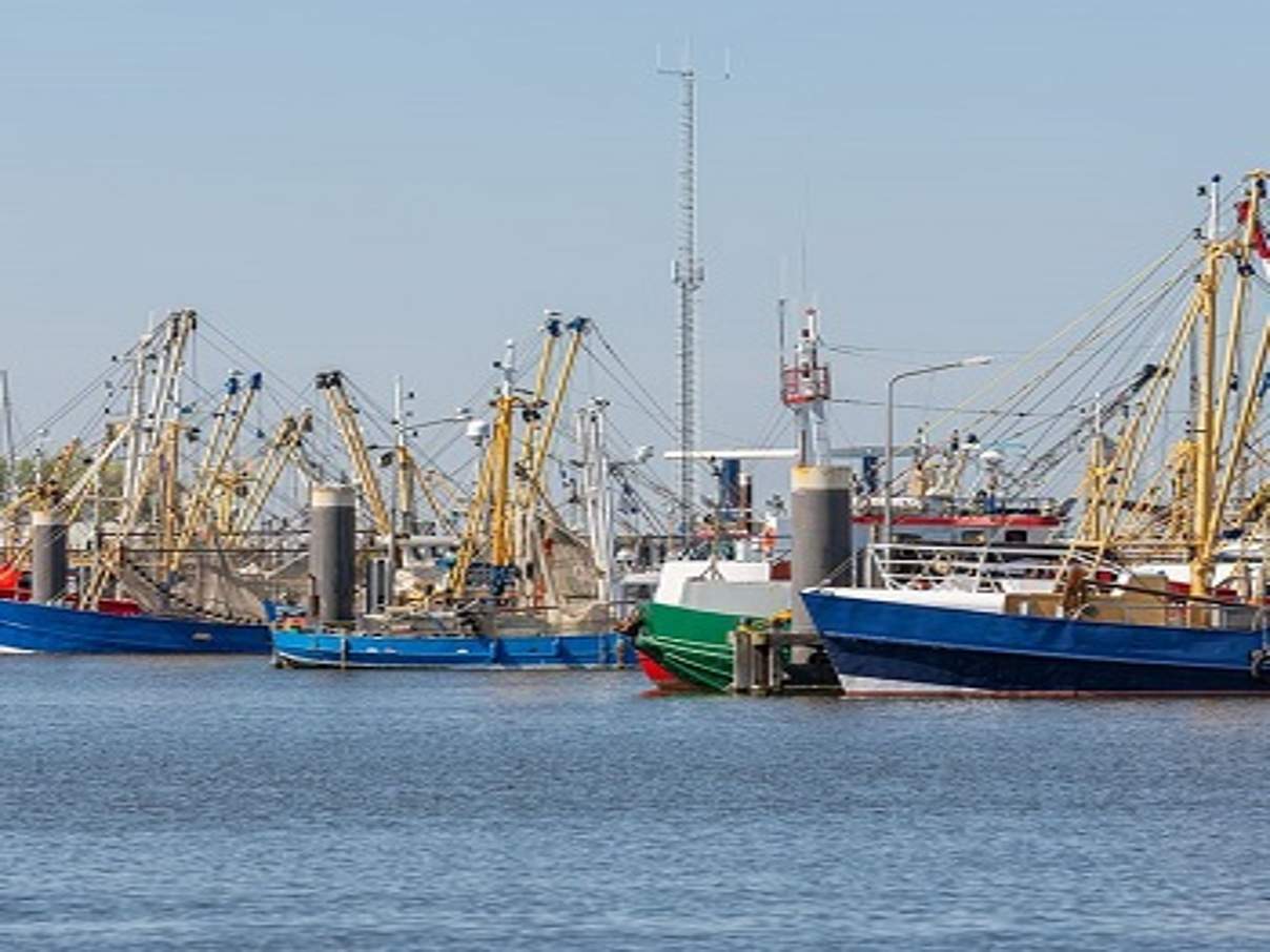 350 Fischereipolitik Europa Hafen c TW van Urk iStock GettyImages