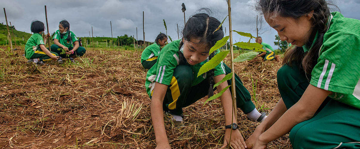 FLR349 Fund © Jittrapon Kaicome / WWF-Thailand