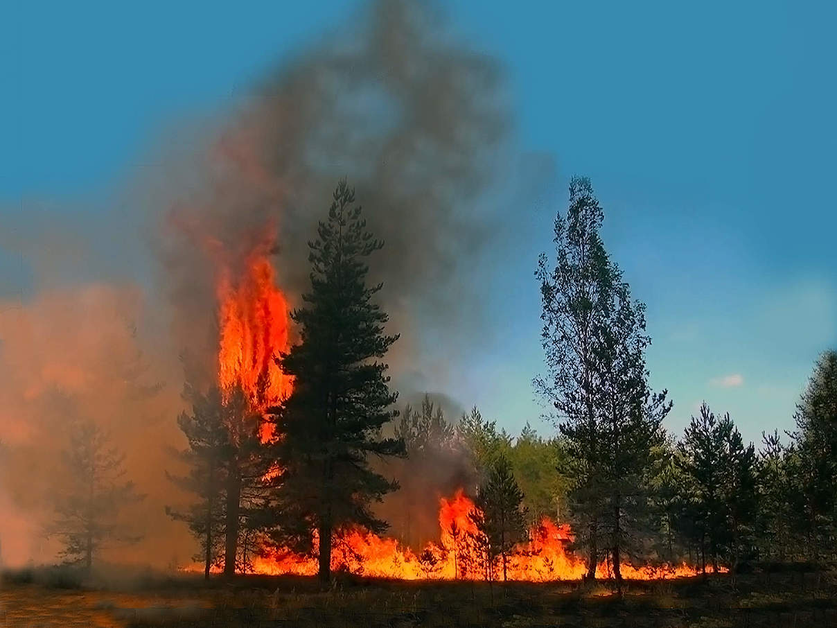 Trockenheit begünstigt die Ausbreitung der Feuer © Maestrovideo / iStock / Getty Images Trockenheit begünstigt die Ausbreitung der Feuer © Maestrovideo / iStock / Getty Images