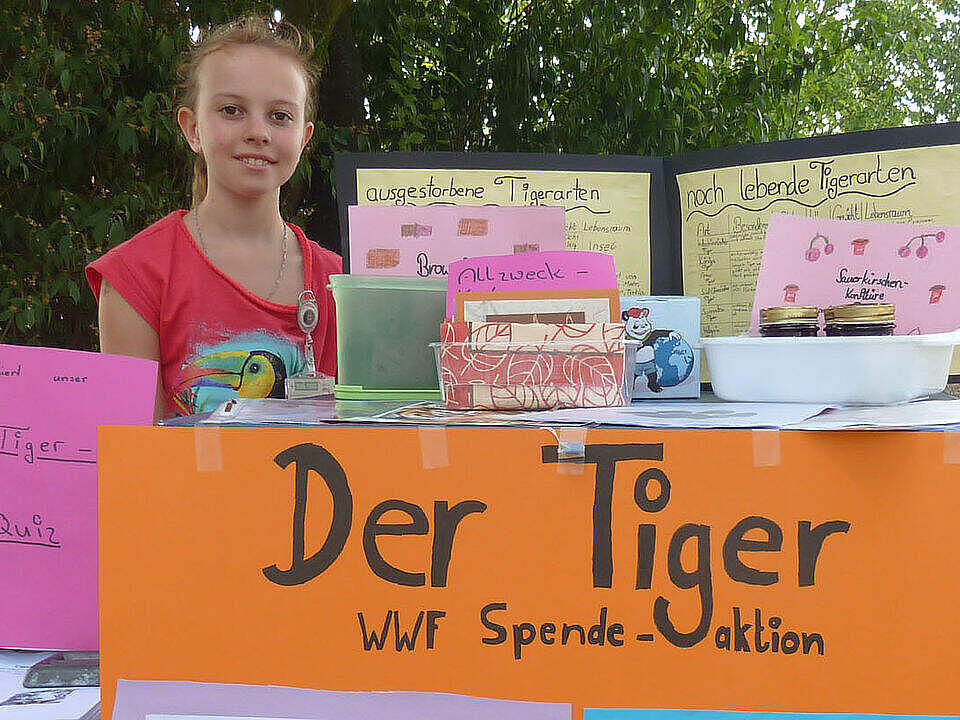 Spendenaktion für Tiger