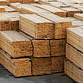 Holzlagerung © Kotenko-A / iStock / Getty Images Plus
