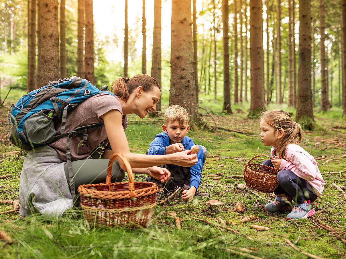 Gemeinsam Pilze suchen im Wald 