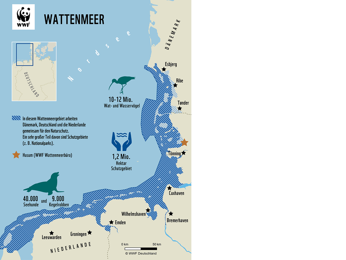 Projektregion: Wattenmeer © WWF