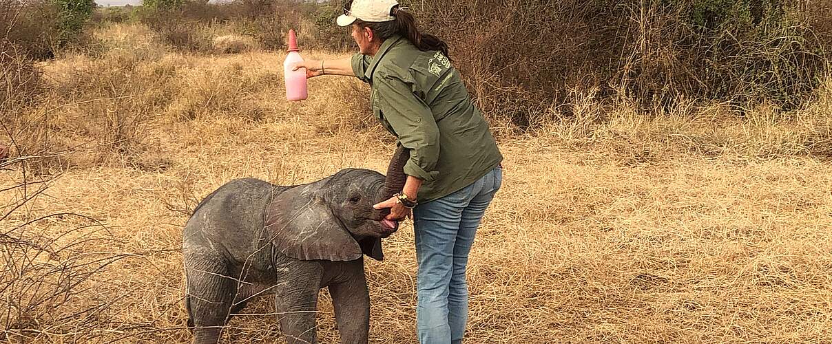 Tierärztin Elisabeth Stegmaier versorgt ein Elefantenkalb.