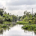 Natürlicher Mekong © GettyImages