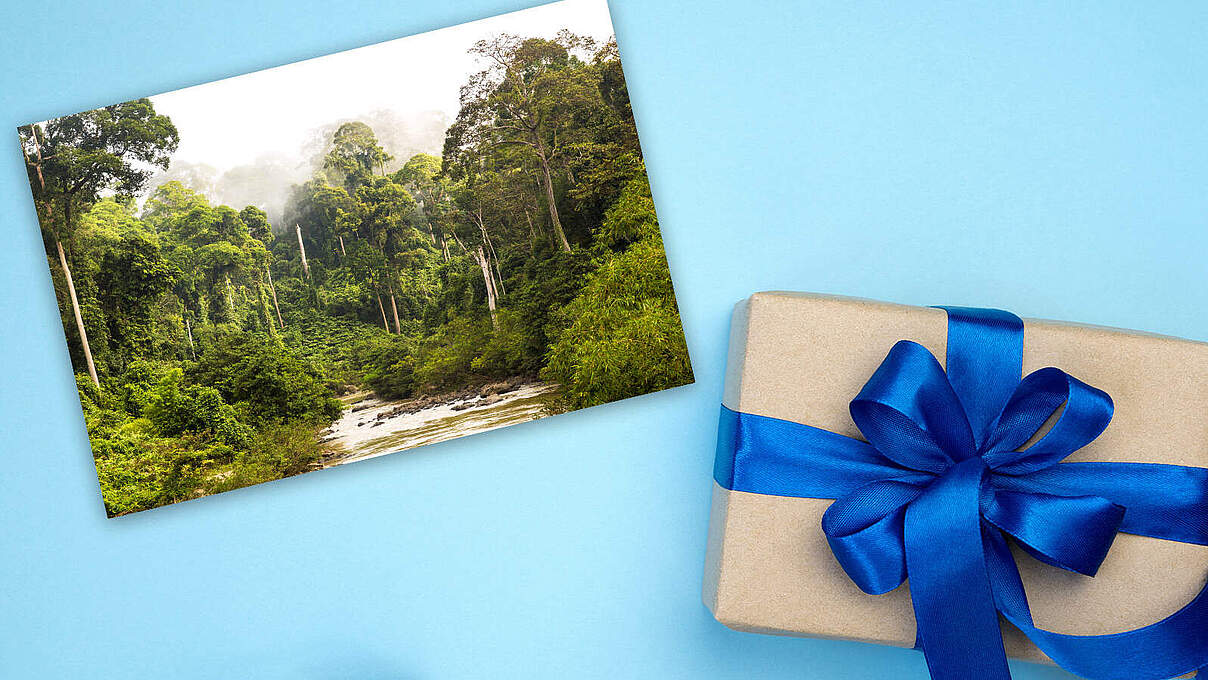 WWF-Geschenkmitgliedschaft