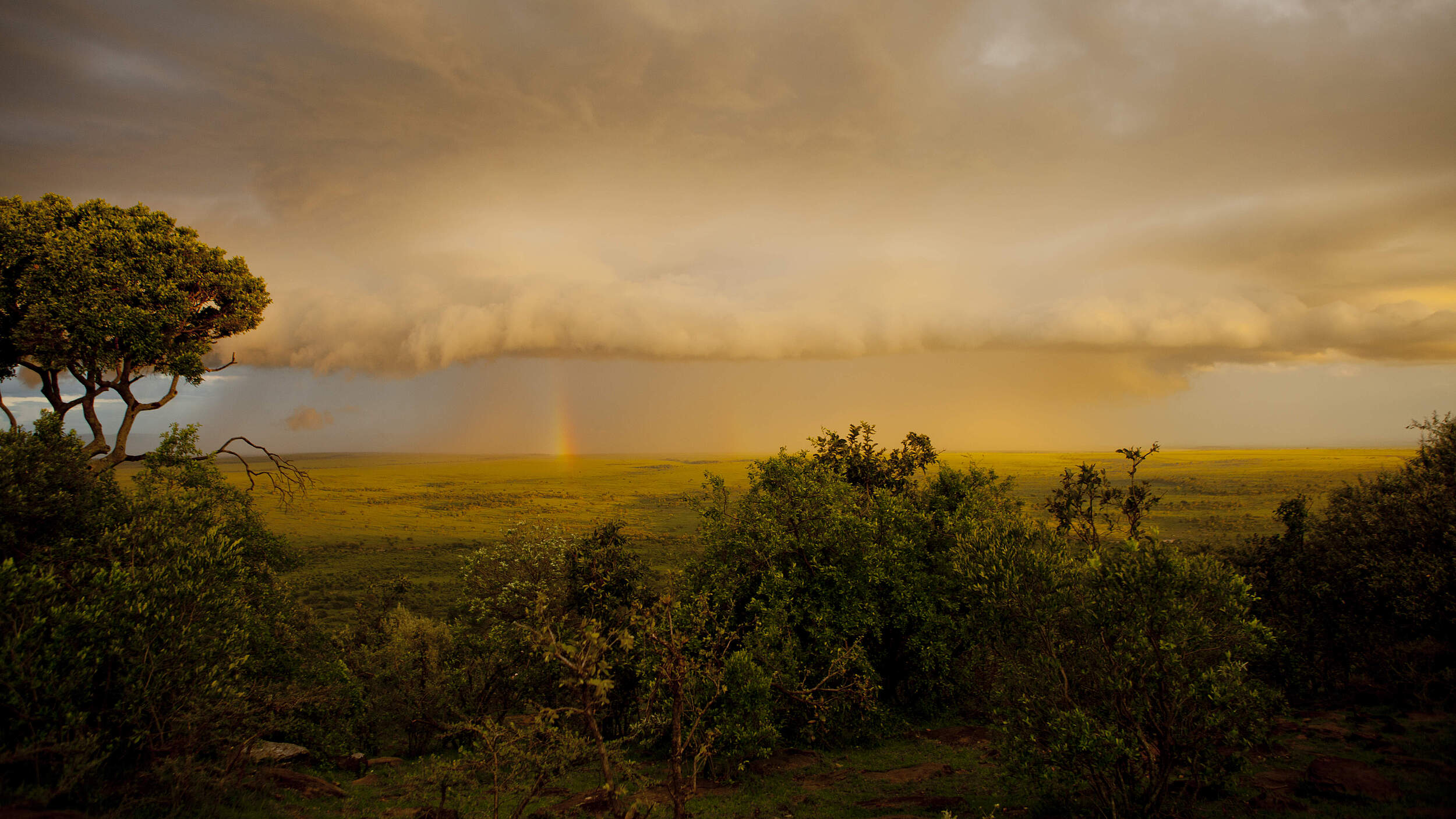 Kenia hat ein artenreiches Ökosystem © Greg Armfield / WWF UK